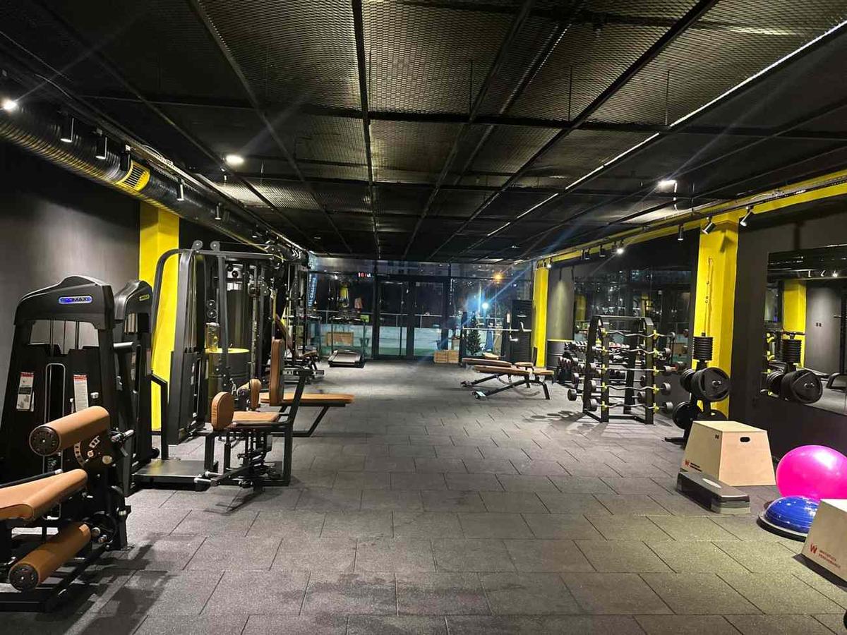 Cat GYM Fotoğraf