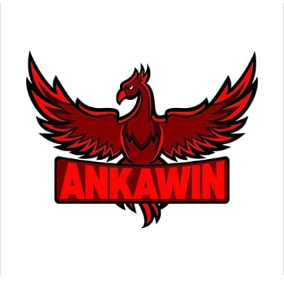 Ankawin Spor Akademisi İncek