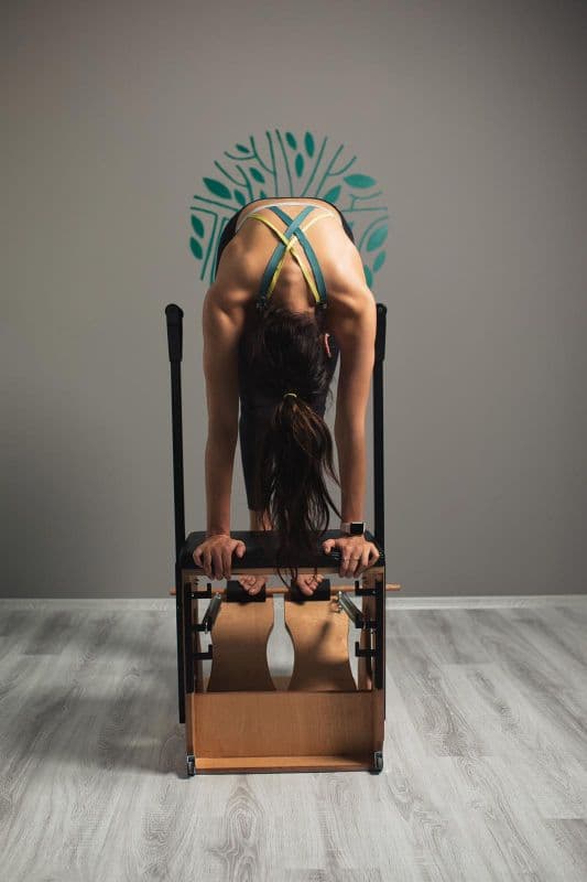 Jungle Pilates Training Studio 4