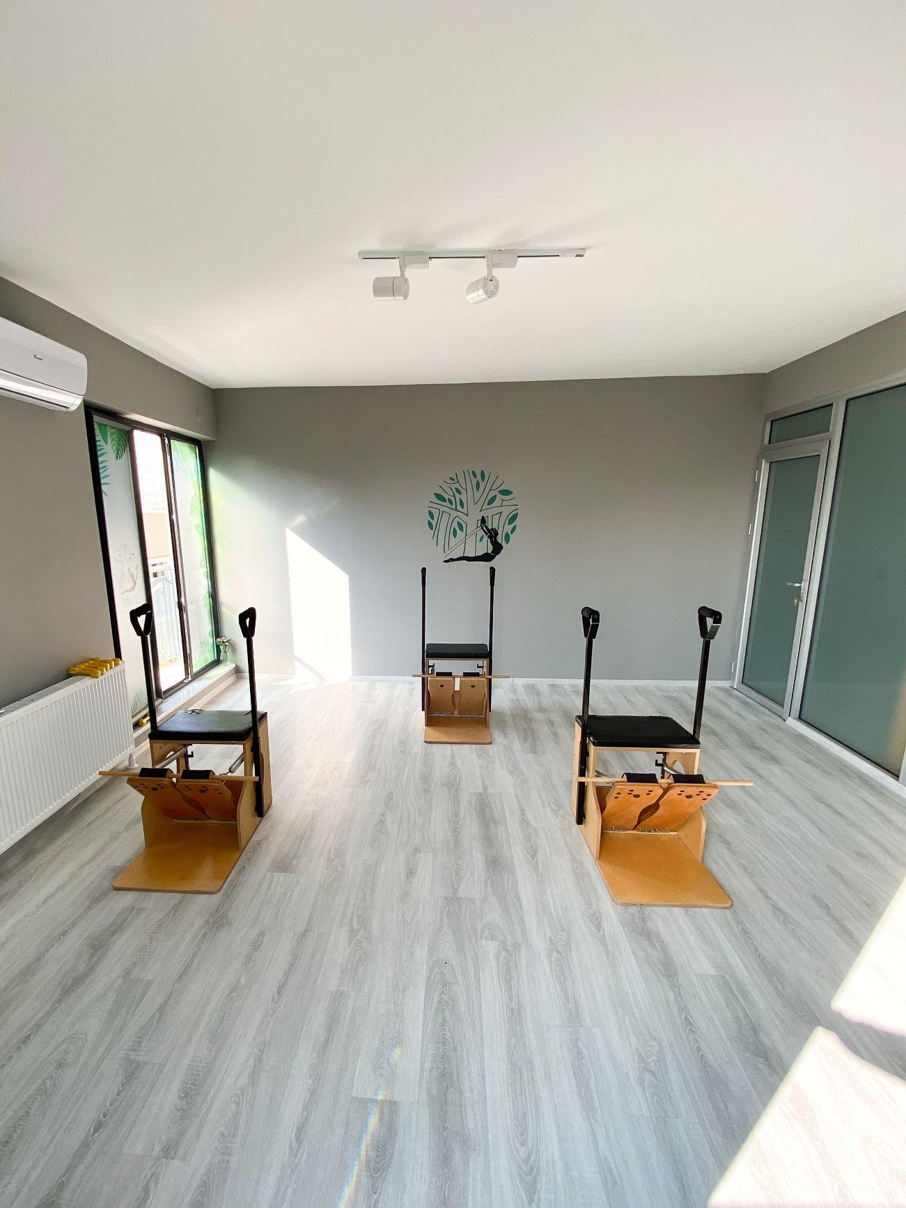 Jungle Pilates Training Studio