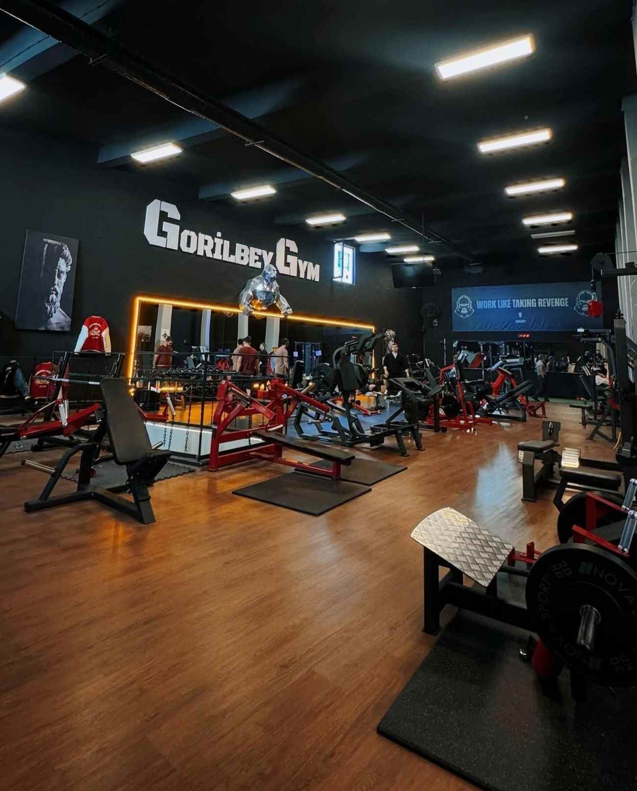 Gorilbey Gym 1