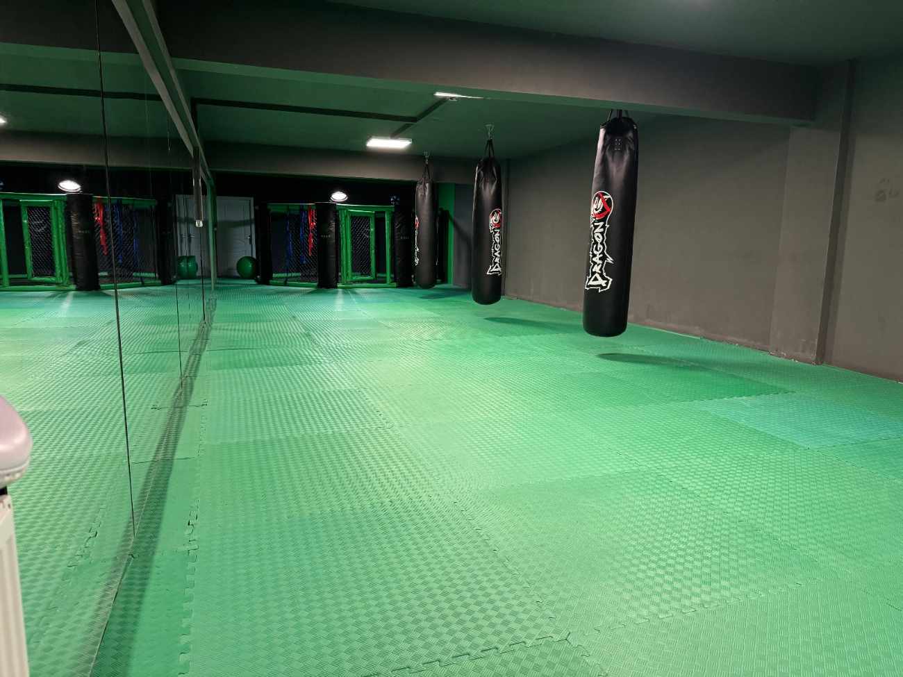 Roar Training Studio