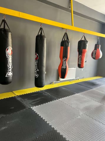 Barlas Gym - Ankara Kickboks-Bayanlar için