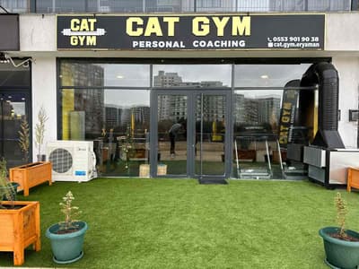 Cat GYM