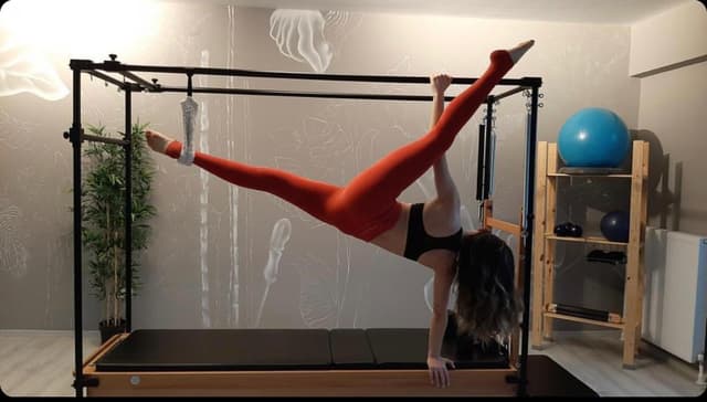 Jungle Pilates Training Studio