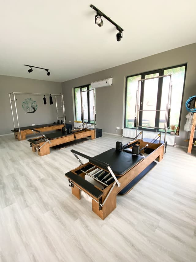 Jungle Pilates Training Studio