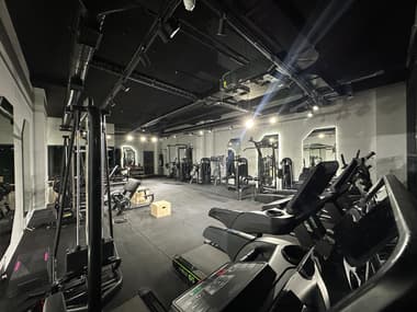 Cat Sports Cat Sports