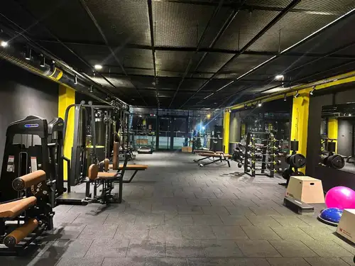 Cat GYM - 1. Fotoğraf Cat GYM - 1. Fotoğraf