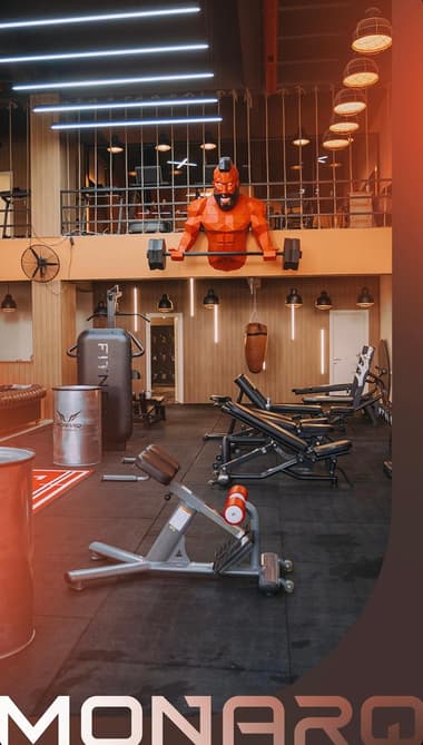 MonarQ Pt Studio MonarQ Pt Studio